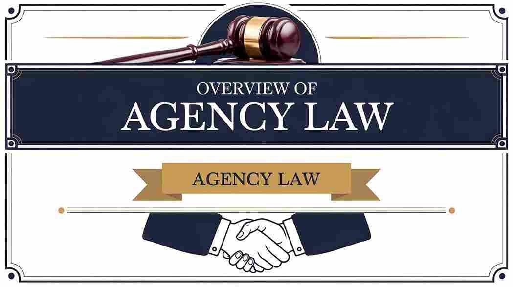 overview of agency law